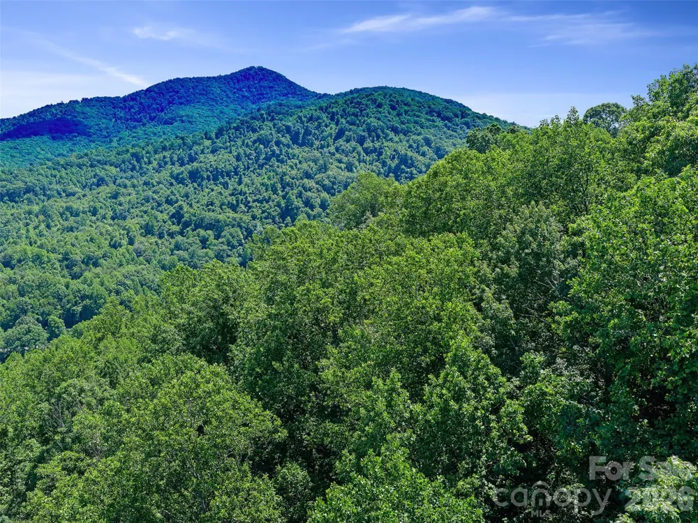 9999 Lovebird Lane #23 Candler, NC 28715