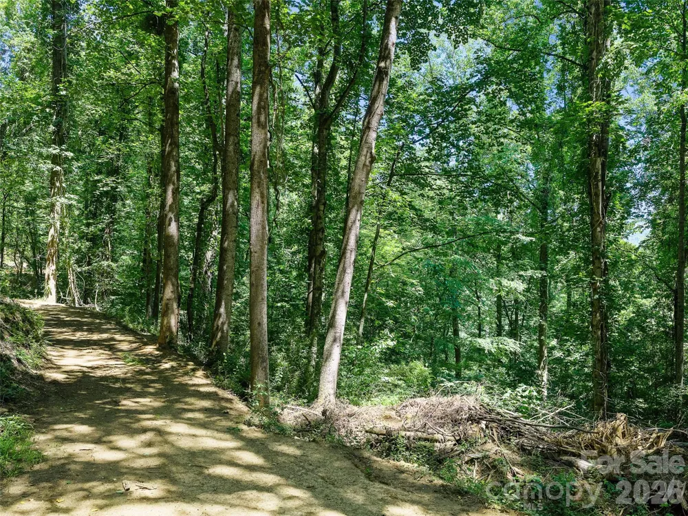 9999 Lovebird Lane #23 Candler, NC 28715