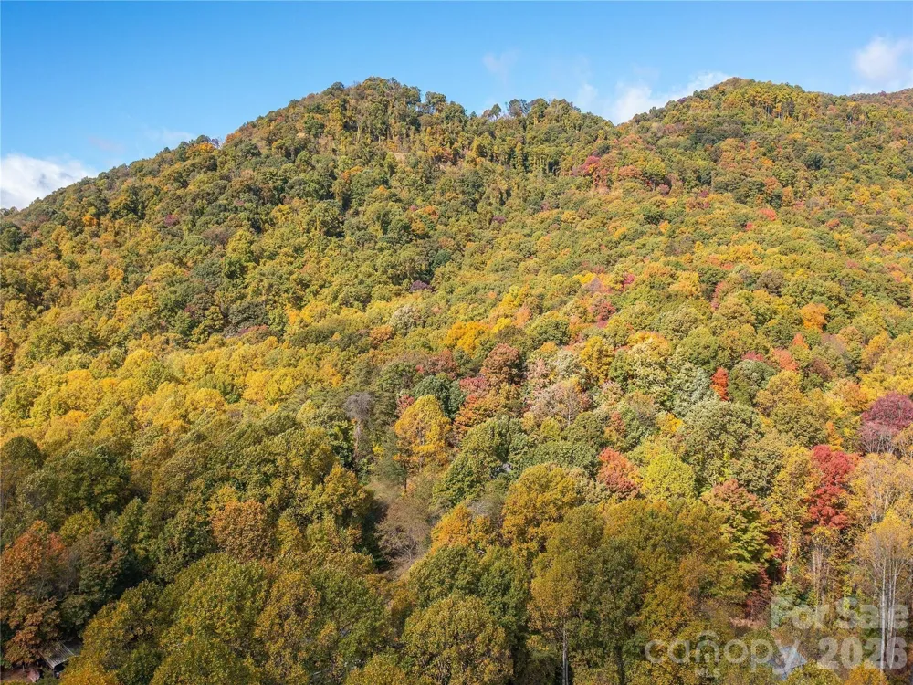 9999 Lovebird Lane #23 Candler, NC 28715