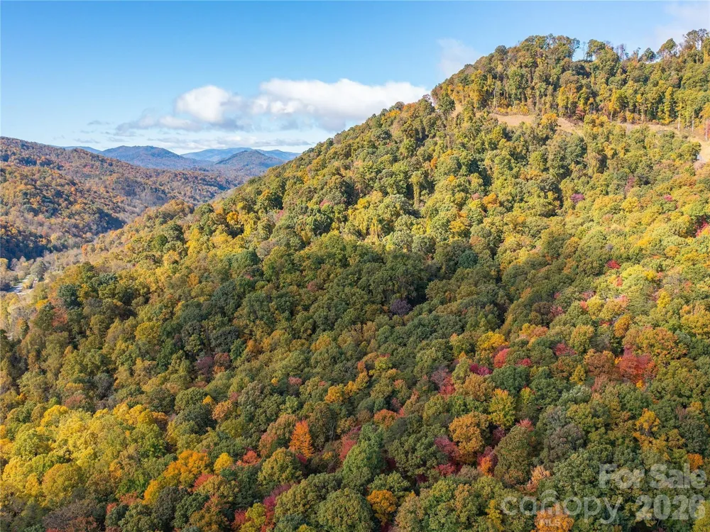 9999 Lovebird Lane #23 Candler, NC 28715