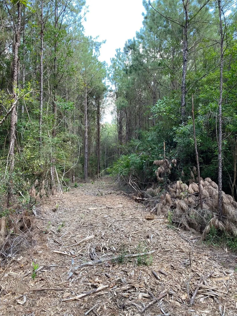 19853 Ghost Road Kountze, TX 77625