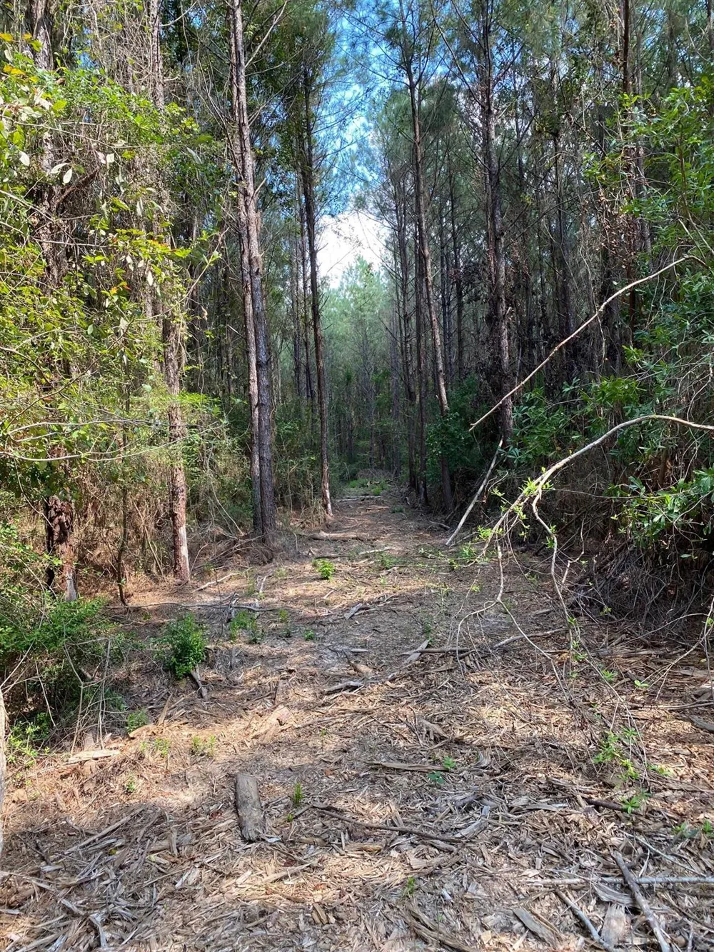19853 Ghost Road Kountze, TX 77625