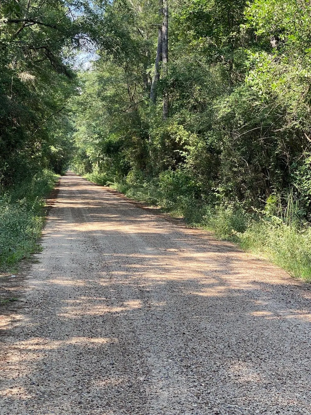 19853 Ghost Road Kountze, TX 77625