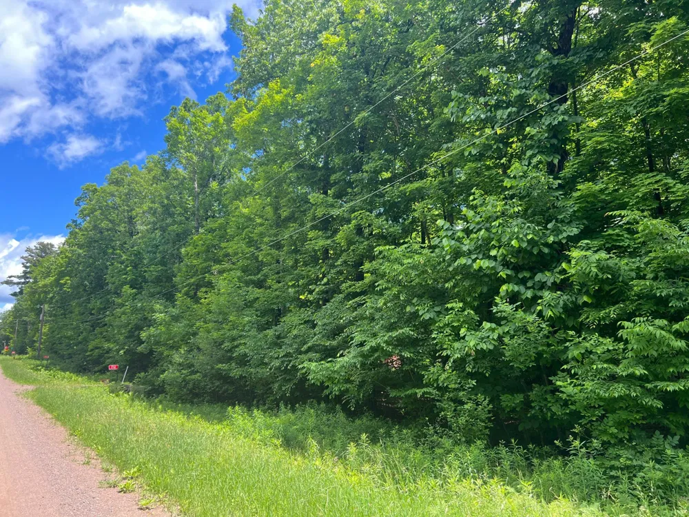 TBD 28 1/4 STREET Birchwood, WI 54817