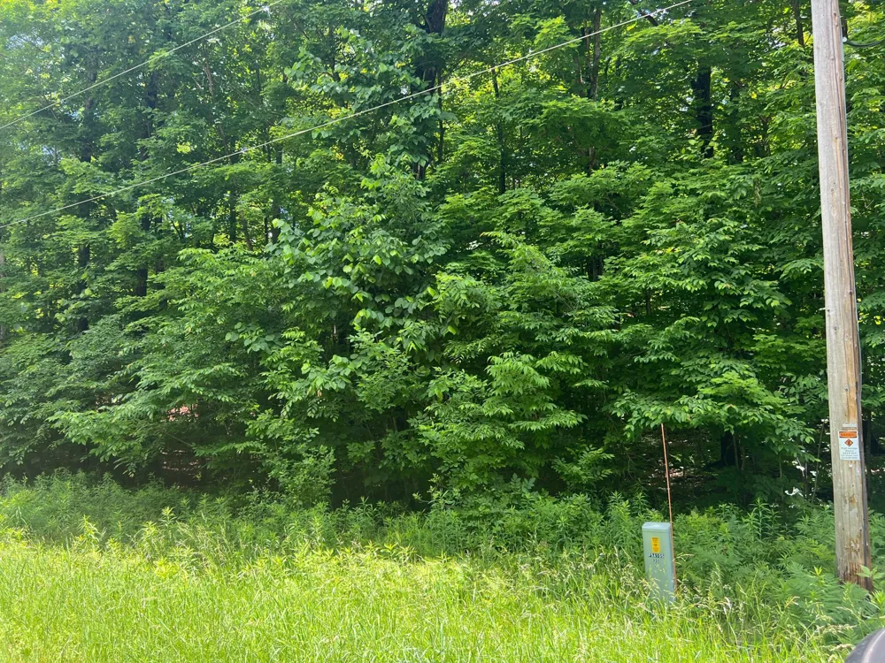 TBD 28 1/4 STREET Birchwood, WI 54817