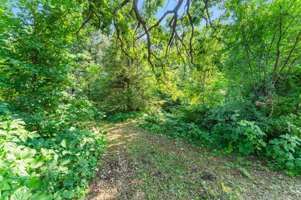 6349 Oak Street North Branch, MN 55056