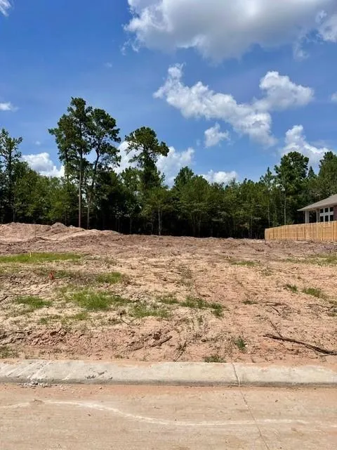 1618 Leona Lane Todd Mission, TX 77316