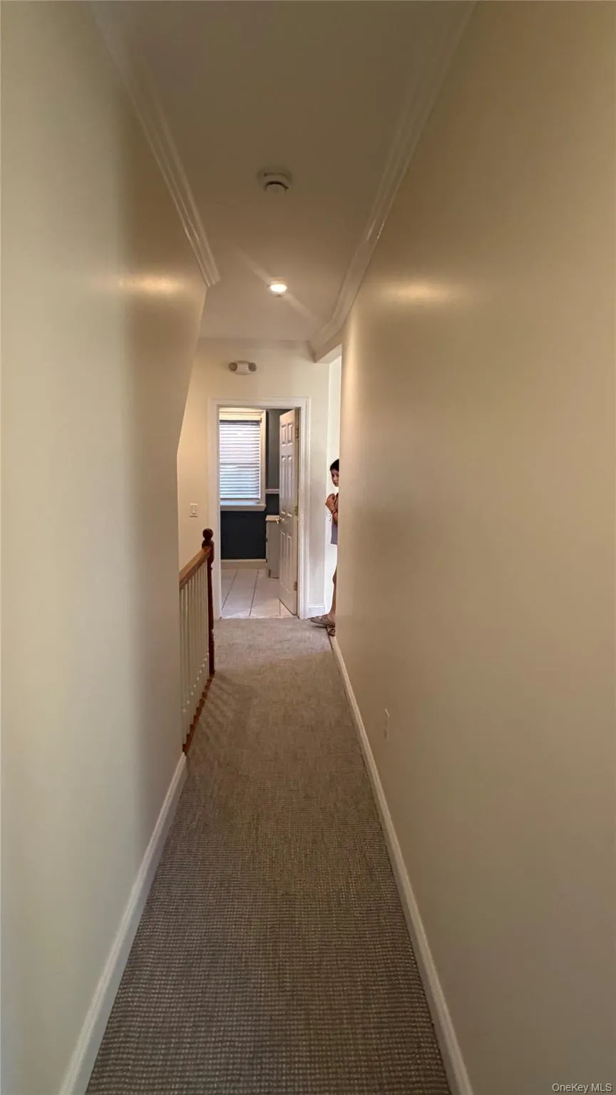 63 Harding Avenue #2 White Plains, NY 10606