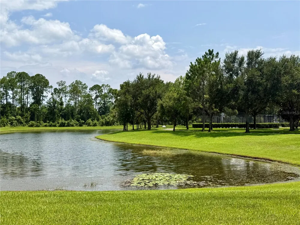 12914 VENNETTA WAY Windermere, FL 34786