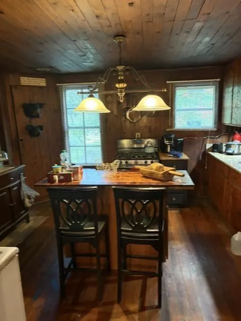 20 S. Scruggs St. Mountain City, GA 30562