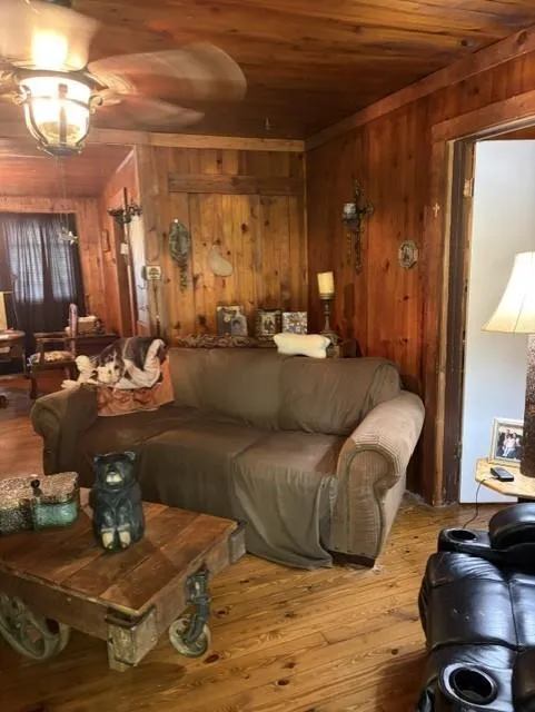 20 S. Scruggs St. Mountain City, GA 30562