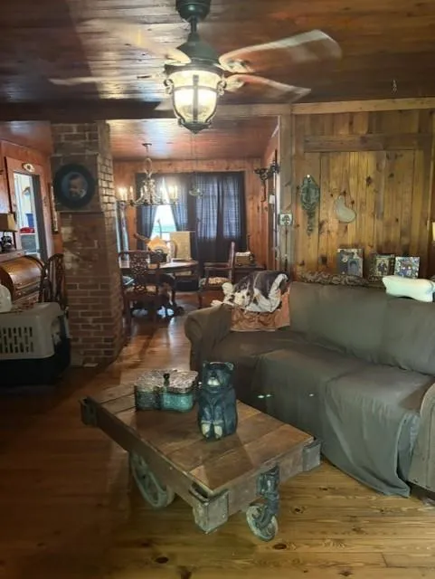 20 S. Scruggs St. Mountain City, GA 30562