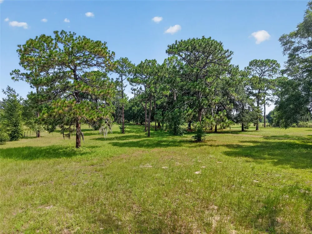 7555 SW 77TH PLACE ocala, FL 34476