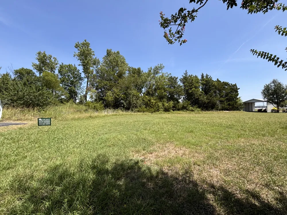 N Park Leonard, TX 75452