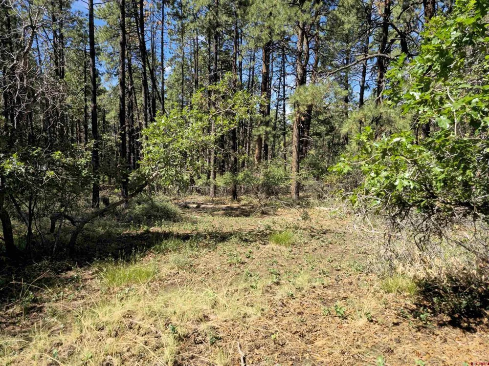 256 Blue Ridge Drive Bayfield, CO 81122