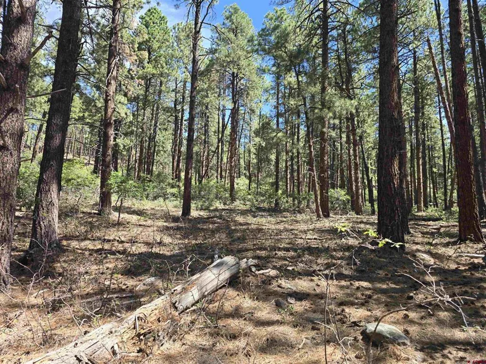 256 Blue Ridge Drive Bayfield, CO 81122
