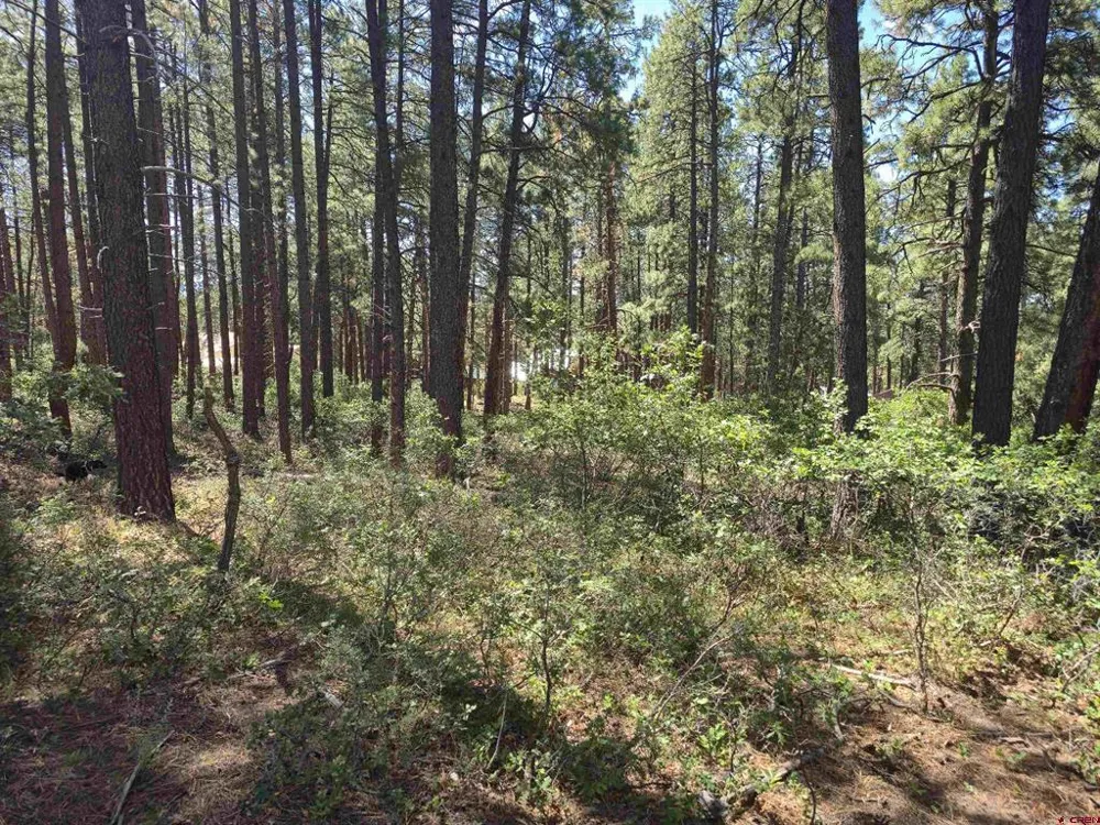 256 Blue Ridge Drive Bayfield, CO 81122