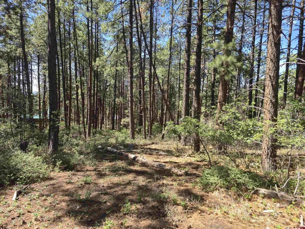 256 Blue Ridge Drive Bayfield, CO 81122