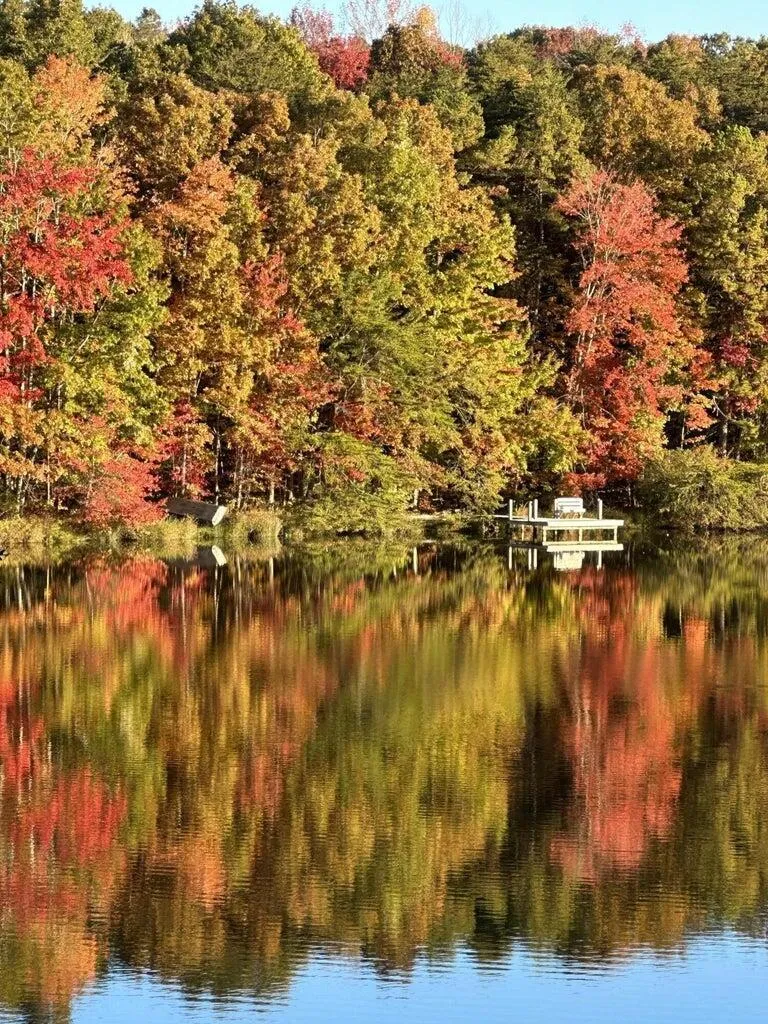2362 Little Bend Road Signal Mountain, TN 37377