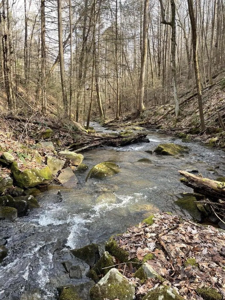 2362 Little Bend Road Signal Mountain, TN 37377