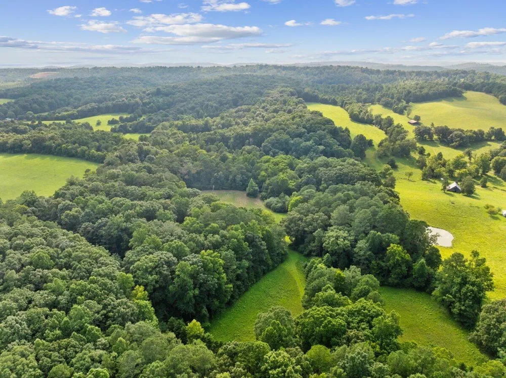 379 County Road 48 Athens, TN 37303