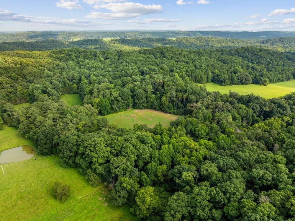 379 County Road 48 Athens, TN 37303