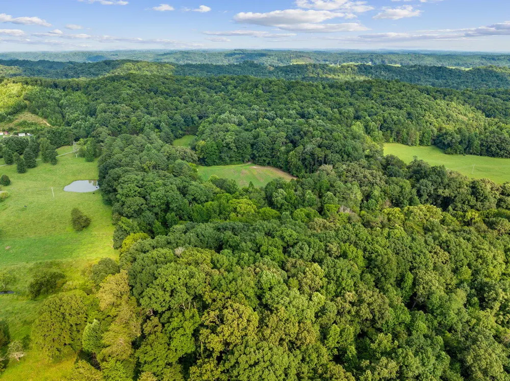 379 County Road 48 Athens, TN 37303