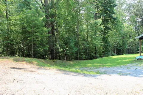 Rosewood Drive