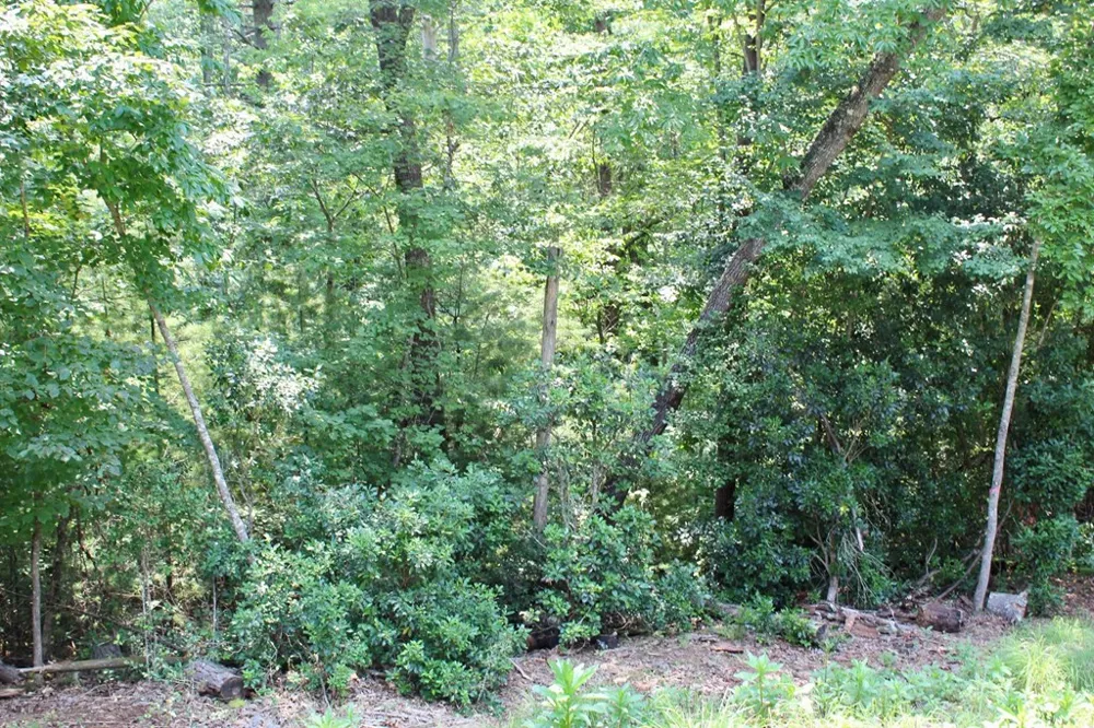 Rosewood Drive Franklin, NC 28734