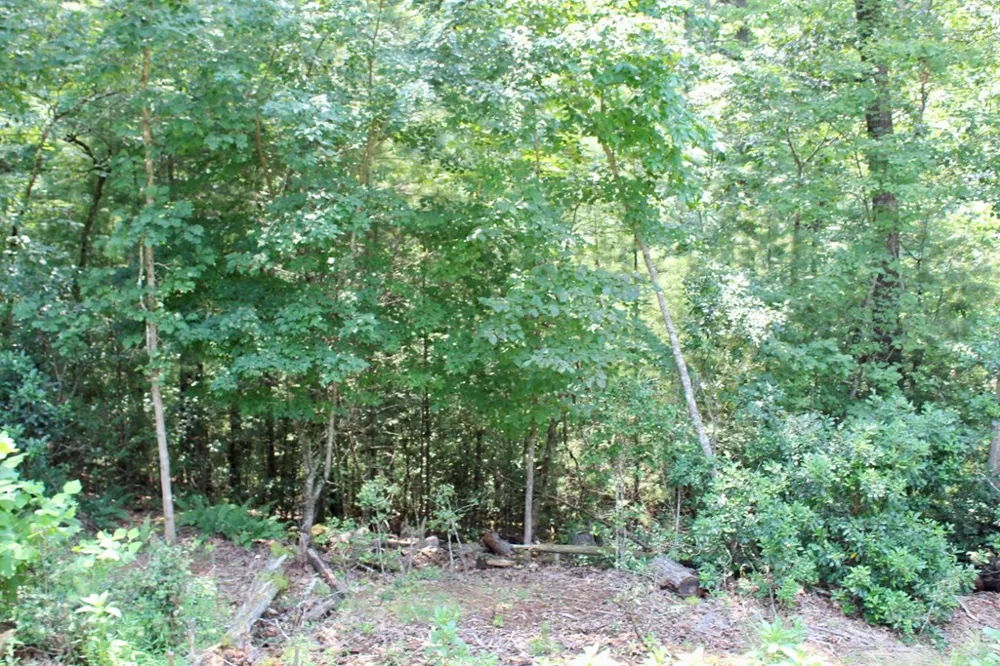 Rosewood Drive Franklin, NC 28734
