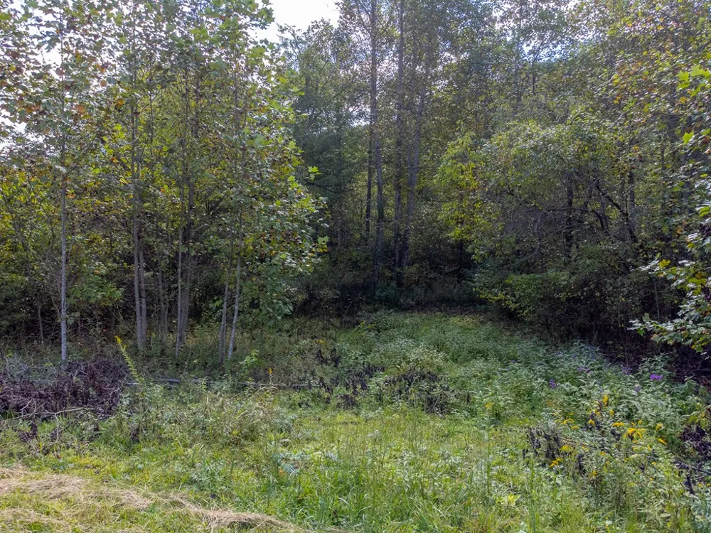 Halfway Back Lane Franklin, NC 28734