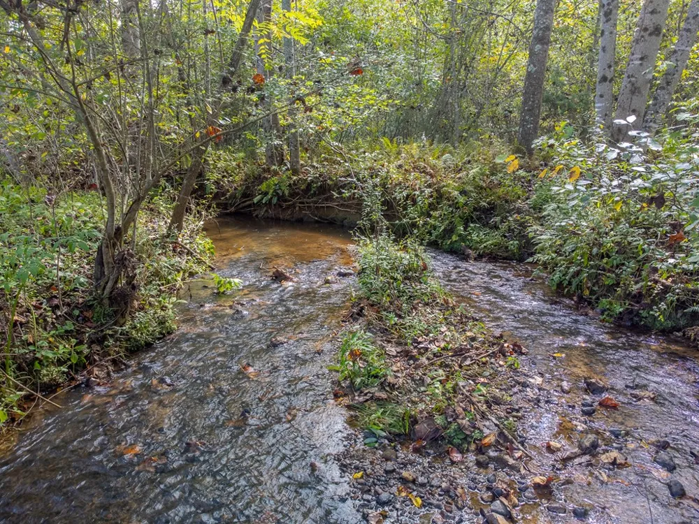 Halfway Back Lane Franklin, NC 28734