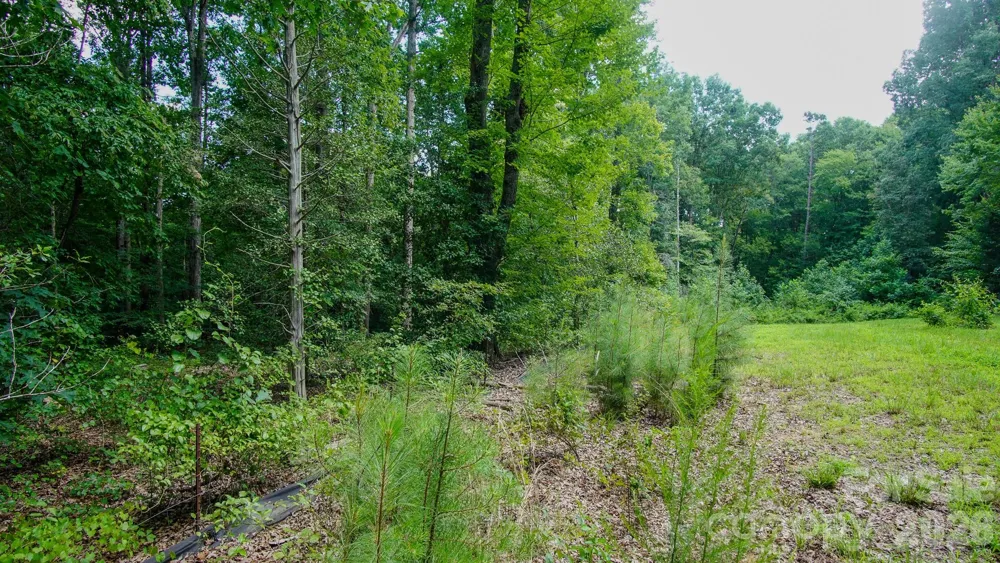 5018 Grassy Creek Road Denver, NC 28037