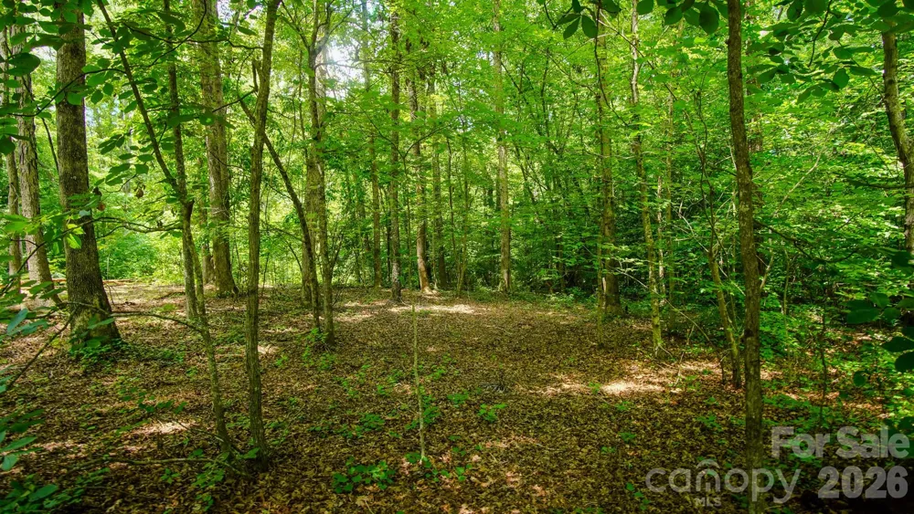5018 Grassy Creek Road Denver, NC 28037