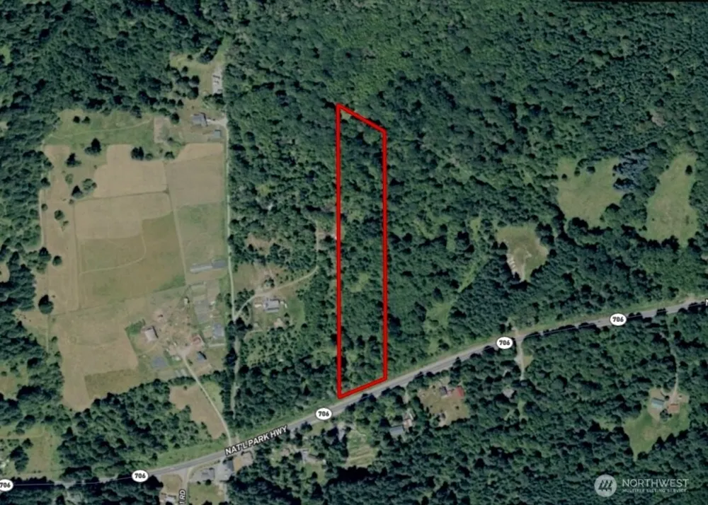 28901 State Route 706 Ashford, WA 98304