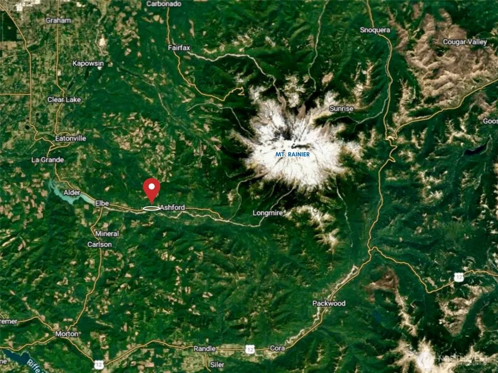 28901 State Route 706 Ashford, WA 98304