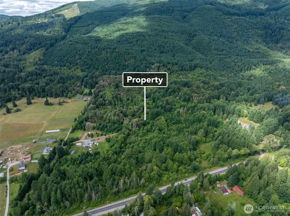 28901 State Route 706 Ashford, WA 98304