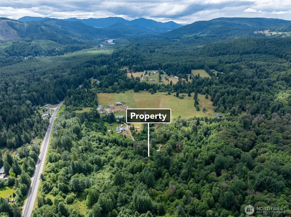 28901 State Route 706 Ashford, WA 98304