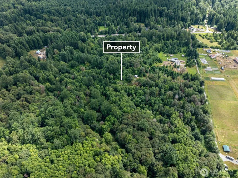 28901 State Route 706 Ashford, WA 98304