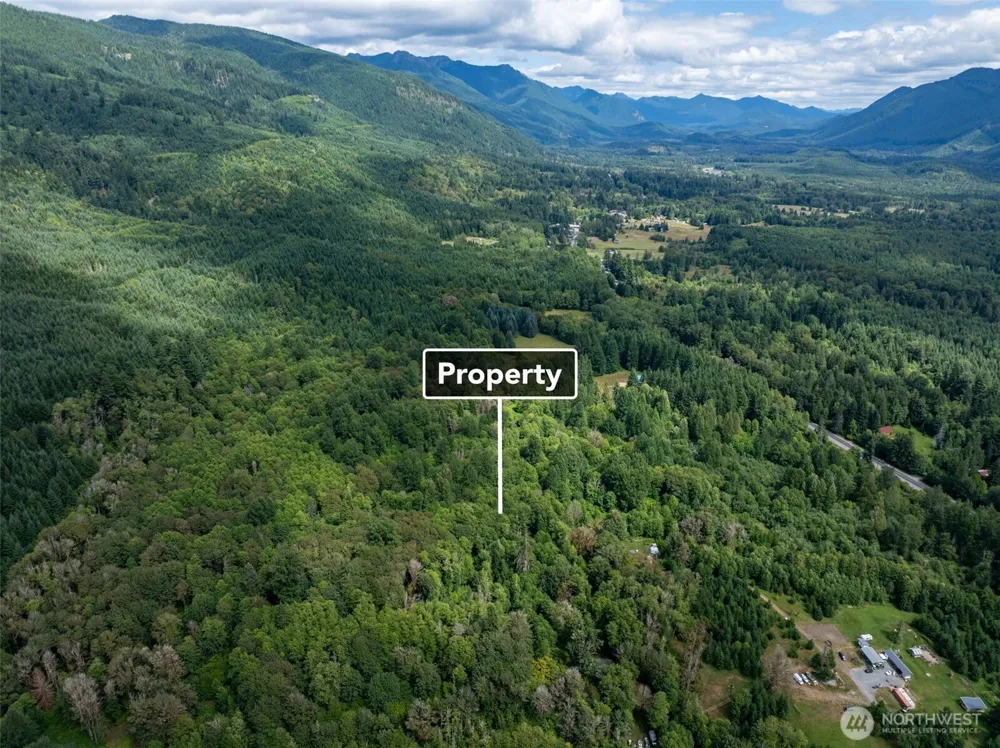 28901 State Route 706 Ashford, WA 98304