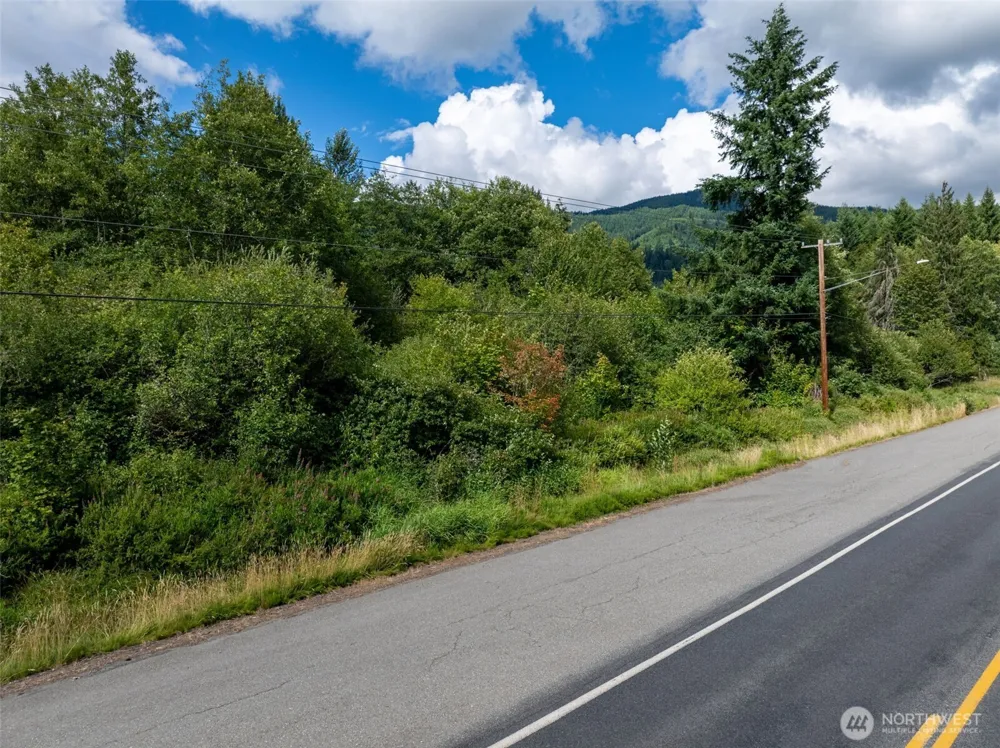 28901 State Route 706 Ashford, WA 98304