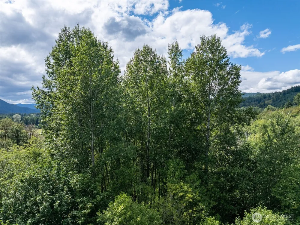28901 State Route 706 Ashford, WA 98304