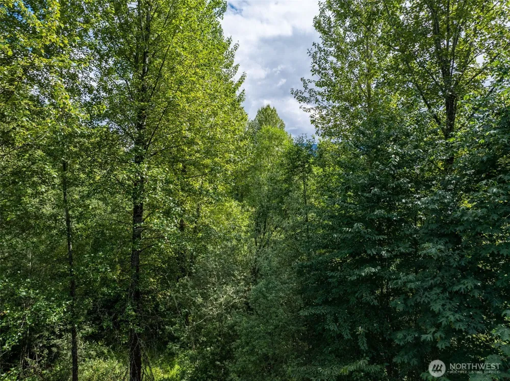 28901 State Route 706 Ashford, WA 98304