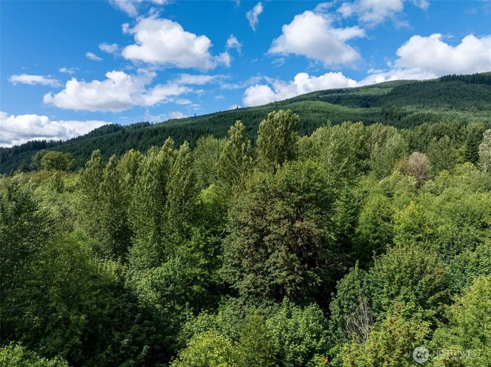 28901 State Route 706 Ashford, WA 98304