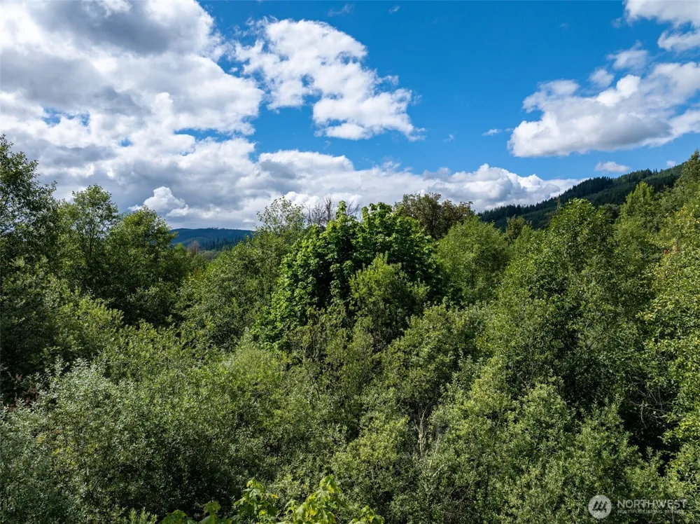 28901 State Route 706 Ashford, WA 98304