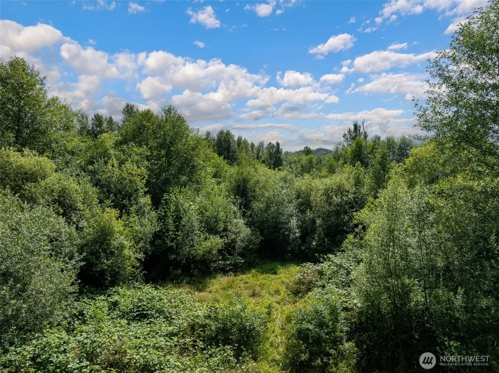 28901 State Route 706 Ashford, WA 98304