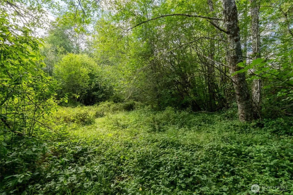 28901 State Route 706 Ashford, WA 98304