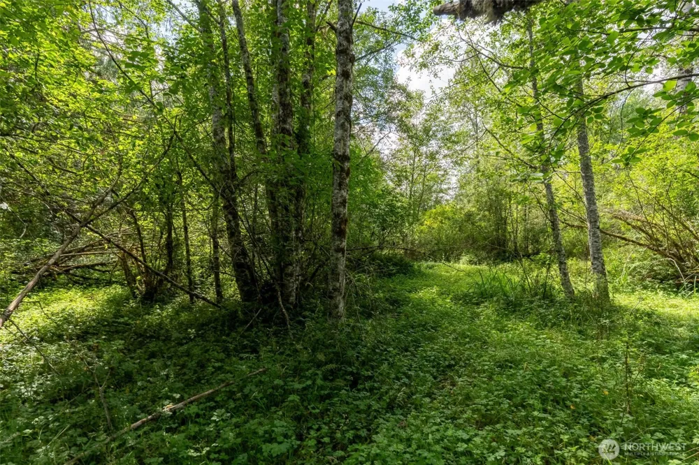 28901 State Route 706 Ashford, WA 98304