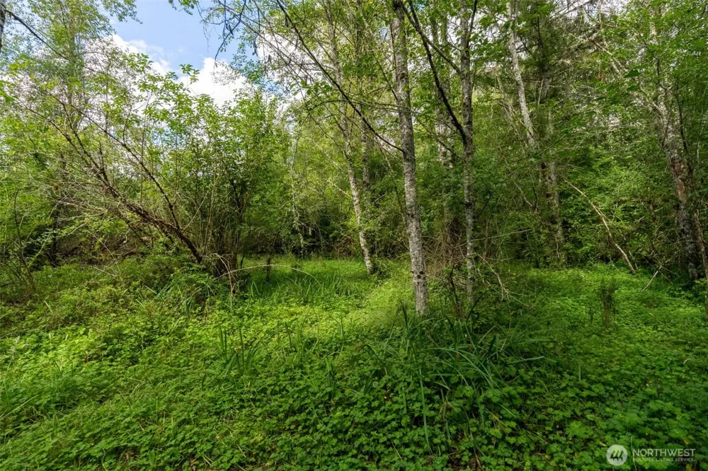 28901 State Route 706 Ashford, WA 98304