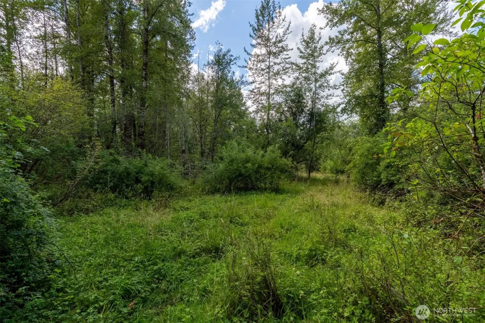 28901 State Route 706 Ashford, WA 98304